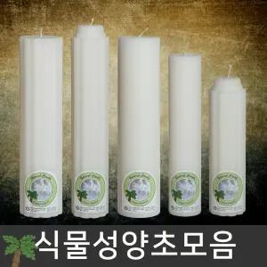 식물성양초모음/팜양초/e조은캔들
