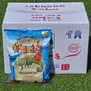 국제아르스 벵에킬러 카멜레온 빵가루 벵에돔 낚시 밑밥 미끼 1박스 12개입