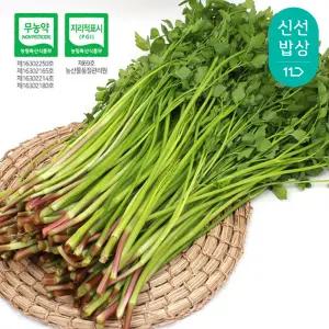 [품질보장]무농약 청도 한재미나리 2kg(1kgx2봉) / 산지직송 / 깔끔한 선별 / 지금이 제철 !!