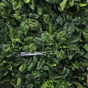 신안 팔금 섬초 해풍으로 키운 섬초 시금치