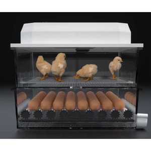병아리부화기 닭 꿩 알 오리 조류 소형 인큐베이터