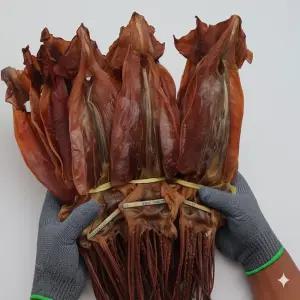 쫄쫄이 오징어 굽지않고 바로먹는  마른  쫄쫄이오징어 500g (6-10미)