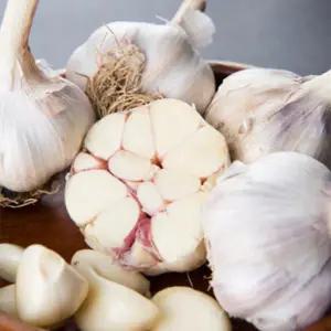 서산 황토밭 대서마늘 중 10kg