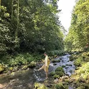 [노쇼핑초특가] 장가계직항 5일#노쇼핑#천문산#천자산#원가계#5성호텔#발마사지#특식