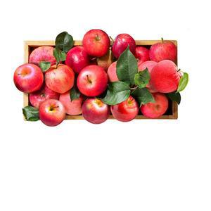 비즈 보석 사과 큐빅 정사각 구슬붙이기 그림 비즈십자수 동물 과일배경 푸른사과 초록사과