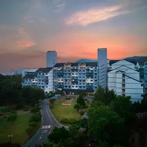 금호리조트 화순/설악/통영/제주&아산스파포레