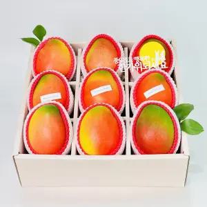 프리미엄 과일선물세트5호 애플망고9입 황금빛 과육