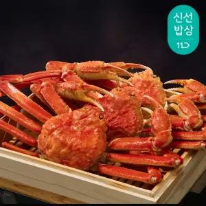 [품질보장] 크랩플릭스 A급 러시아 자숙 대게 1kg (1마리/동해항 직수입사/직접가공/수율보장제)