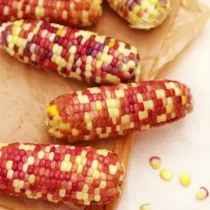 알록달록 홍찰 냉동 삶은 찰옥수수 20개 10~15cm내외