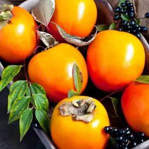 [네이처파마씨]대봉감 중과 5kg (20과 내외) / 단단한 감으로 출고