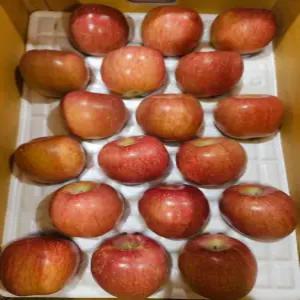 정품 햇 부사 사과 5kg 10kg 선물용 특품