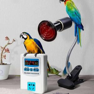 겨울 열전등 전구 보온 축사용 앵무새 파충류 열등 소형 350W 병아리 히터 단열