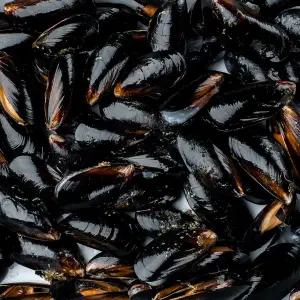 국내산 제철 홍합 2kg 180미 내외