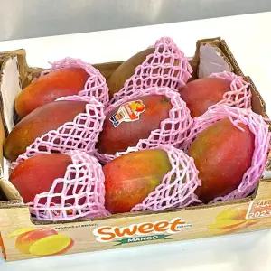 프리미엄 애플망고 특품 항공직송 프리미엄 망고 4kg (8~10과)