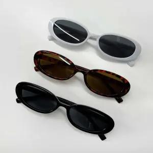 오발 타원형 선글라스 트렌디 패션 뿔테 선글라스