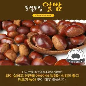 2025 햇 (특등급+특대사이즈) 공주밤 2kg