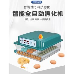 부화용품/병아리부화기 국산병아리 자동 인큐베이터 가정용 유정란 조류 전자동 기계
