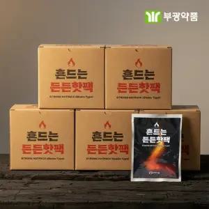 부광약품 흔드는 든든핫팩 20개입 X 5박스