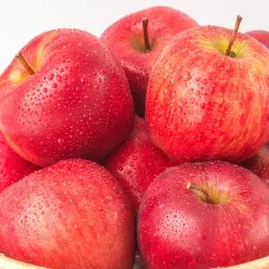 이웃마을 청송 부사 사과 정품 소과 5kg내외 23-28과