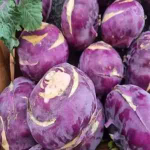 국내산 콜라비 (정품 혼합과) 제주 햇 콜라비