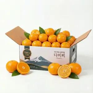 다미찌 프리미엄귤 타이벡귤 최대5brix 제주 서귀포 효돈 1박스,고당도 로얄과