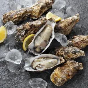 겨울철 굴찜용 석화 10kg 각굴 1차세척