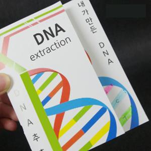 DNA추출법(식물세포)10인set/과학/실험/교구/수업