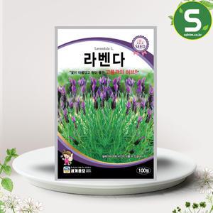 허브씨앗 라벤다씨앗 100립 라벤더 허브씨