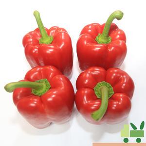 파프리카 2Kg (비품 - 빨강)