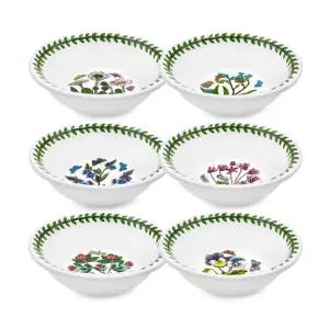 보타닉가든 뉴볼13cm(종지)6p