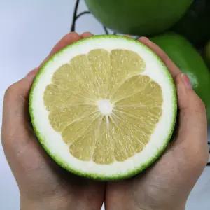 미국산 메로골드 14kg 한박스(27과/32과/36과/40과)