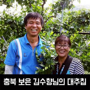 충북 보은 대추칩 40g 80g  대추슬라이스