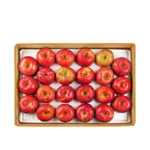 [롯데백화점]장길영사과 [장길영사과]갈아먹는 알뜰사과 중소과 5kg(17-23과)