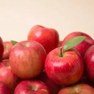 주스용 부사 사과 8kg 랜덤과