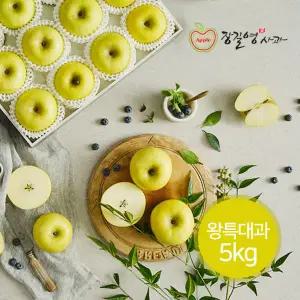 [롯데백화점]장길영사과 [장길영사과] 황금사과 시나노골드 왕특대과 5kg(10-13과)