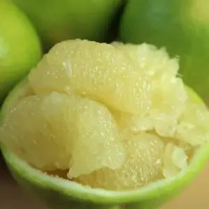 메로골드 미국 청자몽 5입, 10입 (점보 550g내외 27과 사이즈)