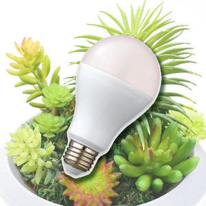 KS 재배용 전용 실내 식물용 성장등 LED 식물등 생장등 램프 조명