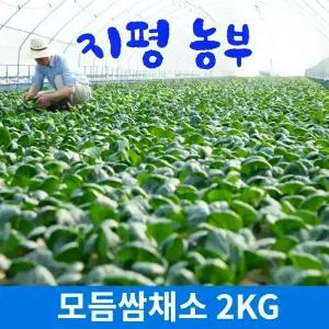 [물맑은 양평]지평농부 모듬쌈채소2kg