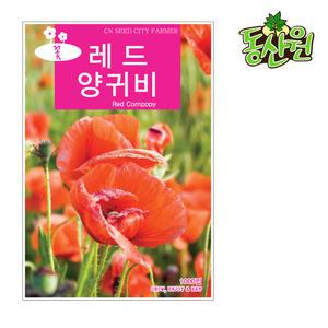 대용량 레드양귀비씨앗 50g 꽃씨앗 관상용양귀비꽃 씨앗