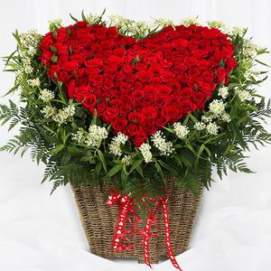 당일 꽃배달 장미꽃 100송이 백송이 꽃바구니 A1668