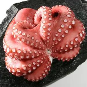 세척 손질문어 한마리 700~880g