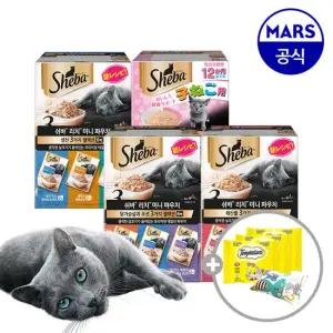 쉬바 미니 리치 파우치 12개 골라담기+캣닢쿠션+템테이션12gx3팩