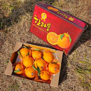 한라봉 한라봉선물세트 3KG 1박스