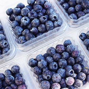 수입블루베리 생블루베리 수입산 500G 1KG