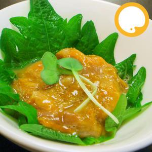 와다 500g 국내산 고노와다 해삼내장