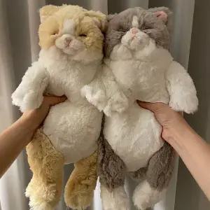 무릎인형 잠자는 쓰야쓰야 고양이