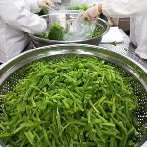 자연담은 궁채나물 2kg 세척손질 줄기상추 진공포장