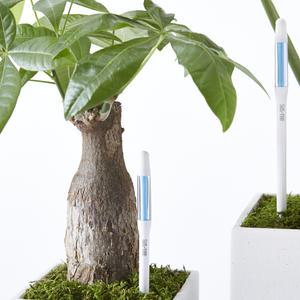 써스티 물주기알리미 일본특허 S 사이즈 서스티 sustee