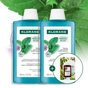 [쿨링/유분케어] 아쿠아민트 샴푸 400ml 2개 (+퀴닌샴푸 7ml)