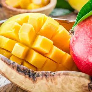 애플망고 소포장 4-5과 (2kg내외)